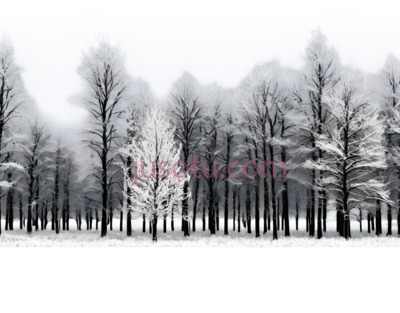 雪景,黑白摄影,黑白色调, PNG