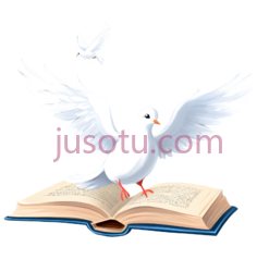 鸽子,卡通,白色PNG