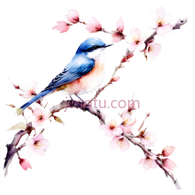 鸟,插画,蓝色,粉色,白色, PNG