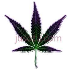 叶子,霓虹灯,紫色,绿色PNG