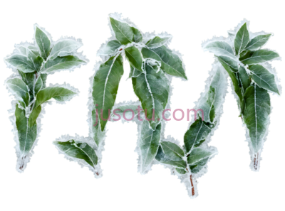 冰冷,叶子, PNG
