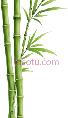 水墨,竹画, PNG