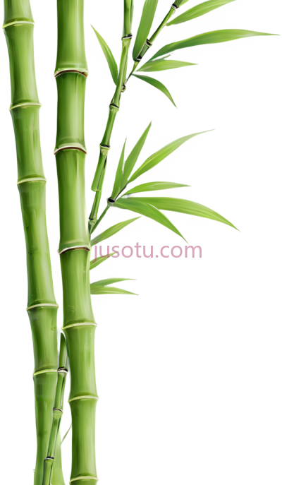 水墨,竹画, PNG