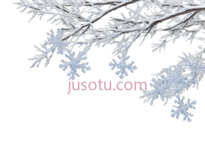 树枝,雪花,白色, PNG