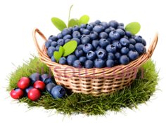 蓝莓,篮子,蓝色PNG