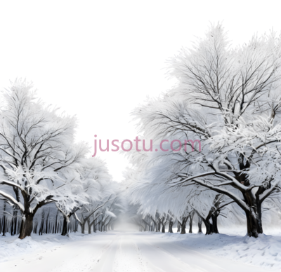 雪景,冬季,白色, PNG