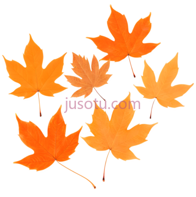 秋叶,橙色, PNG