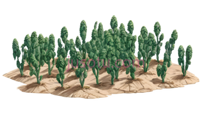 树,3D,绿色, PNG