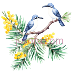 鸟类,花PNG