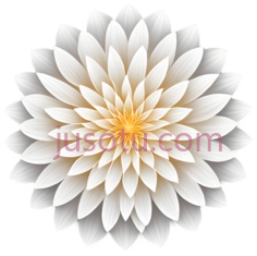 花,抽象,白色, 黄色PNG