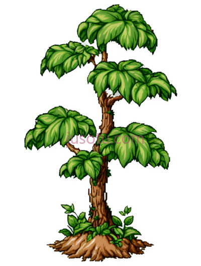 树叶,风暴, PNG