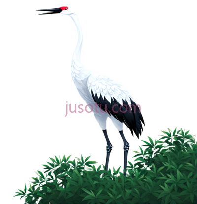 丹顶鹤,插画,白色, 红色, PNG