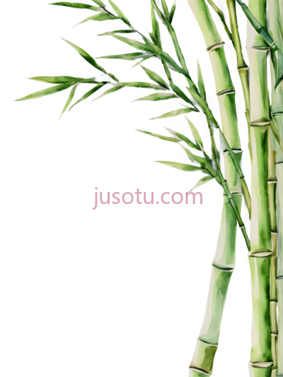 竹笋, PNG