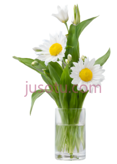 白花PNG