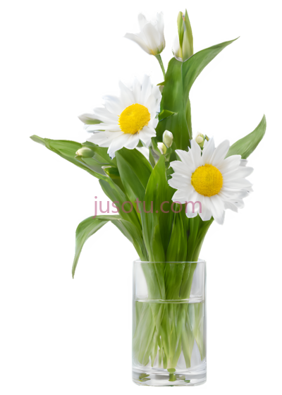 白花, PNG