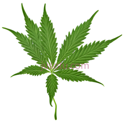 大麻植物, PNG