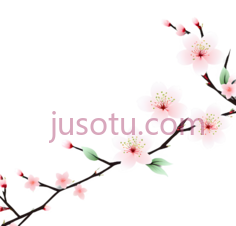 樱花,插画,粉色,绿色, PNG