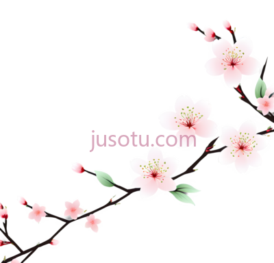 樱花,插画,粉色,绿色, PNG
