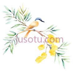 鸟类,花PNG