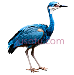 鸟,自然,蓝色PNG