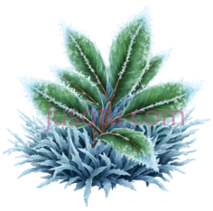 植物抗寒PNG