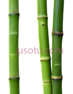 竹子, PNG