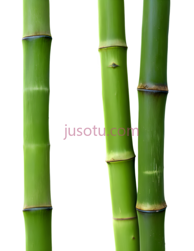竹子, PNG