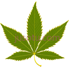 大麻叶, PNG