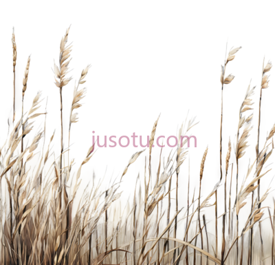芦苇, PNG