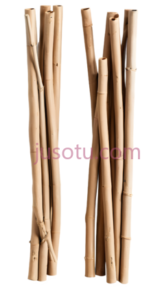 竹子,自然,浅棕色PNG