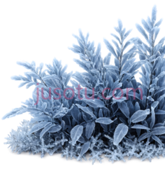 植物,3D,蓝色PNG