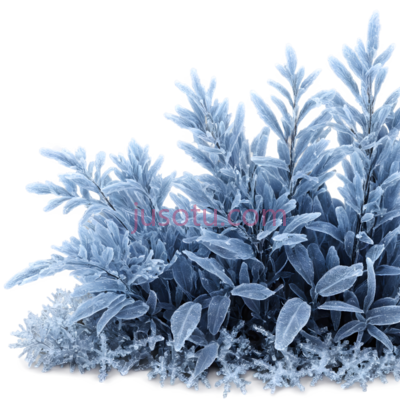 植物,3D,蓝色, PNG