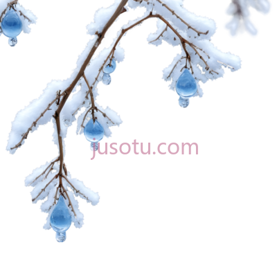 树枝,被雪覆盖,白色, PNG