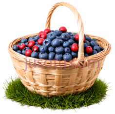 蓝莓,篮子,蓝色,红色PNG
