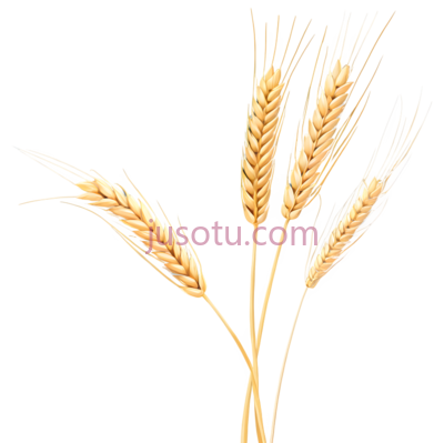 麦穗, PNG