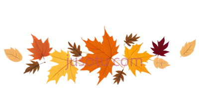 秋季,黄叶, PNG