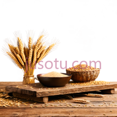 小麦,面粉,玉米粒,自然风干,金黄色,白色,黄色PNG