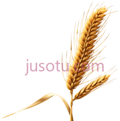 麦穗,插画,金黄色PNG