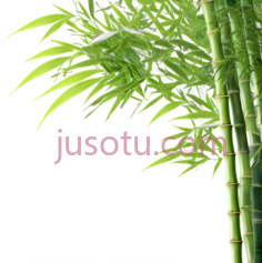 竹叶,风,竹林PNG