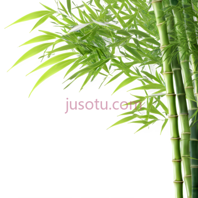 竹叶,风,竹林, PNG