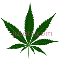 大麻叶子PNG