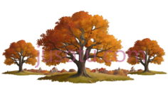 秋,树, PNG