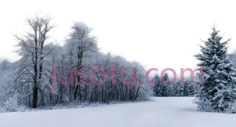 雪地,冬季风景,白色PNG