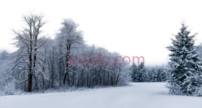 雪地,冬季风景,白色, PNG