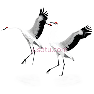 鹤舞, PNG