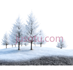寒冷树木PNG