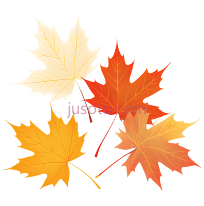 枫叶,插画,白色,黄色,橙色, PNG