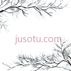 树枝,插画,白色PNG