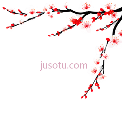 樱花,插画,白色,红色, PNG
