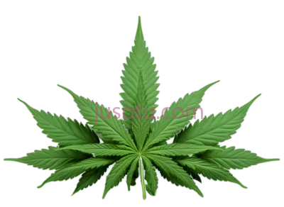 大麻叶, PNG